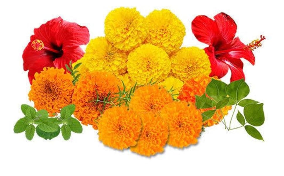 fb1d9f03 80cc 44d7 9a0a 882038ab306f. cr0,632,1587,982 pt0 sx970 v1